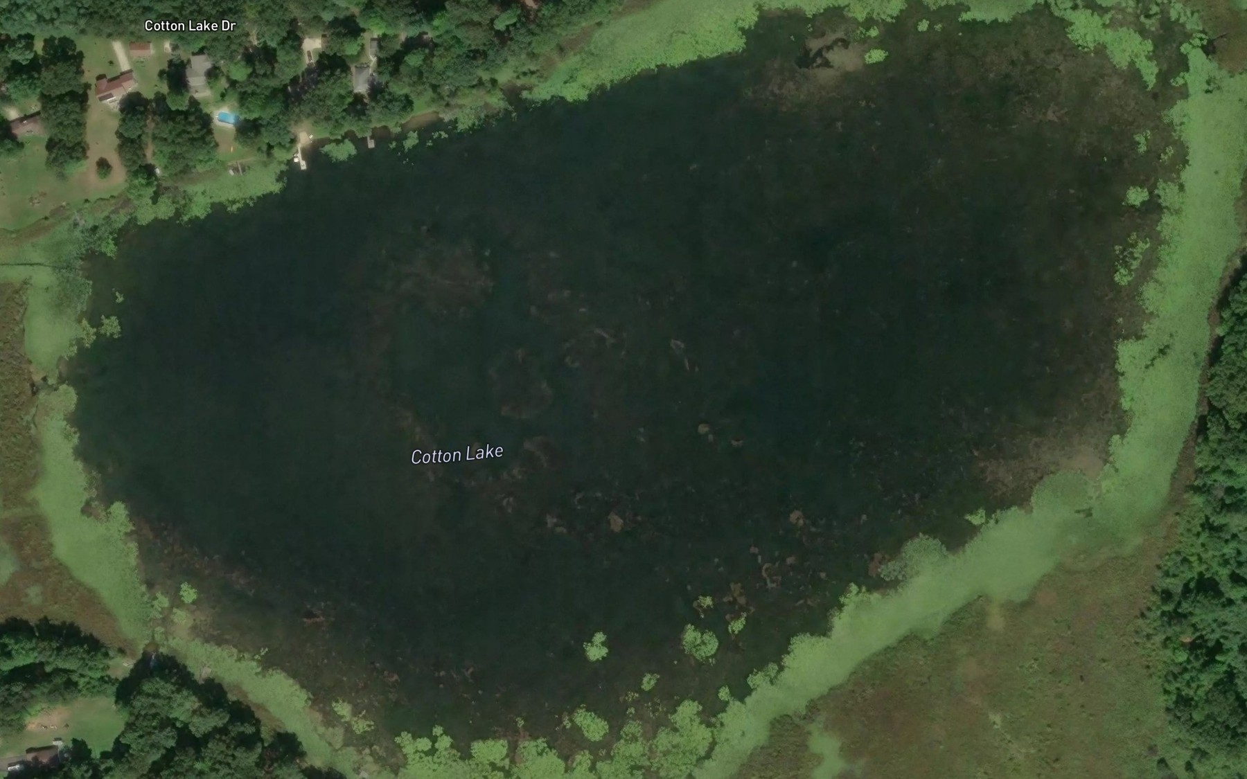 Satellite map of the Cotton Lake