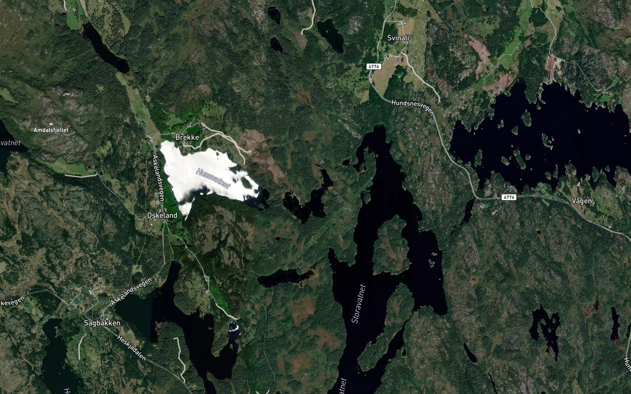 Rongavatnet