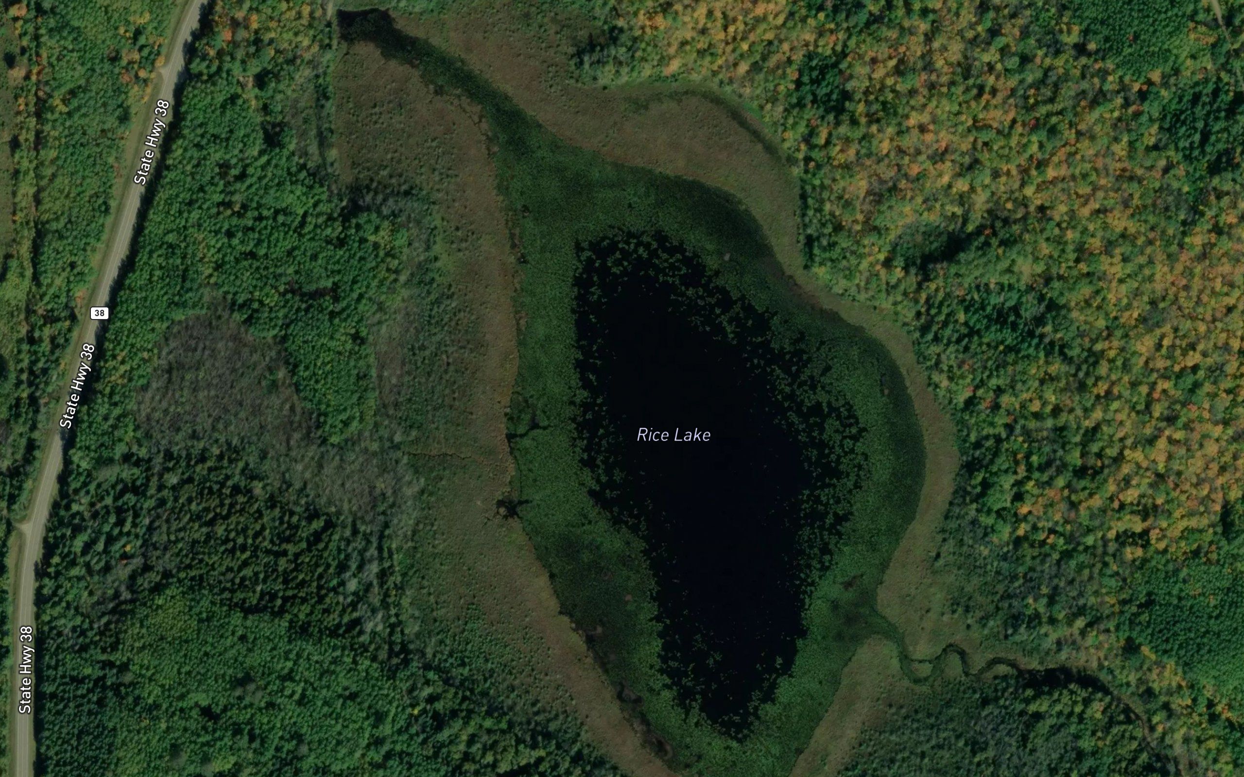 Rice Lake