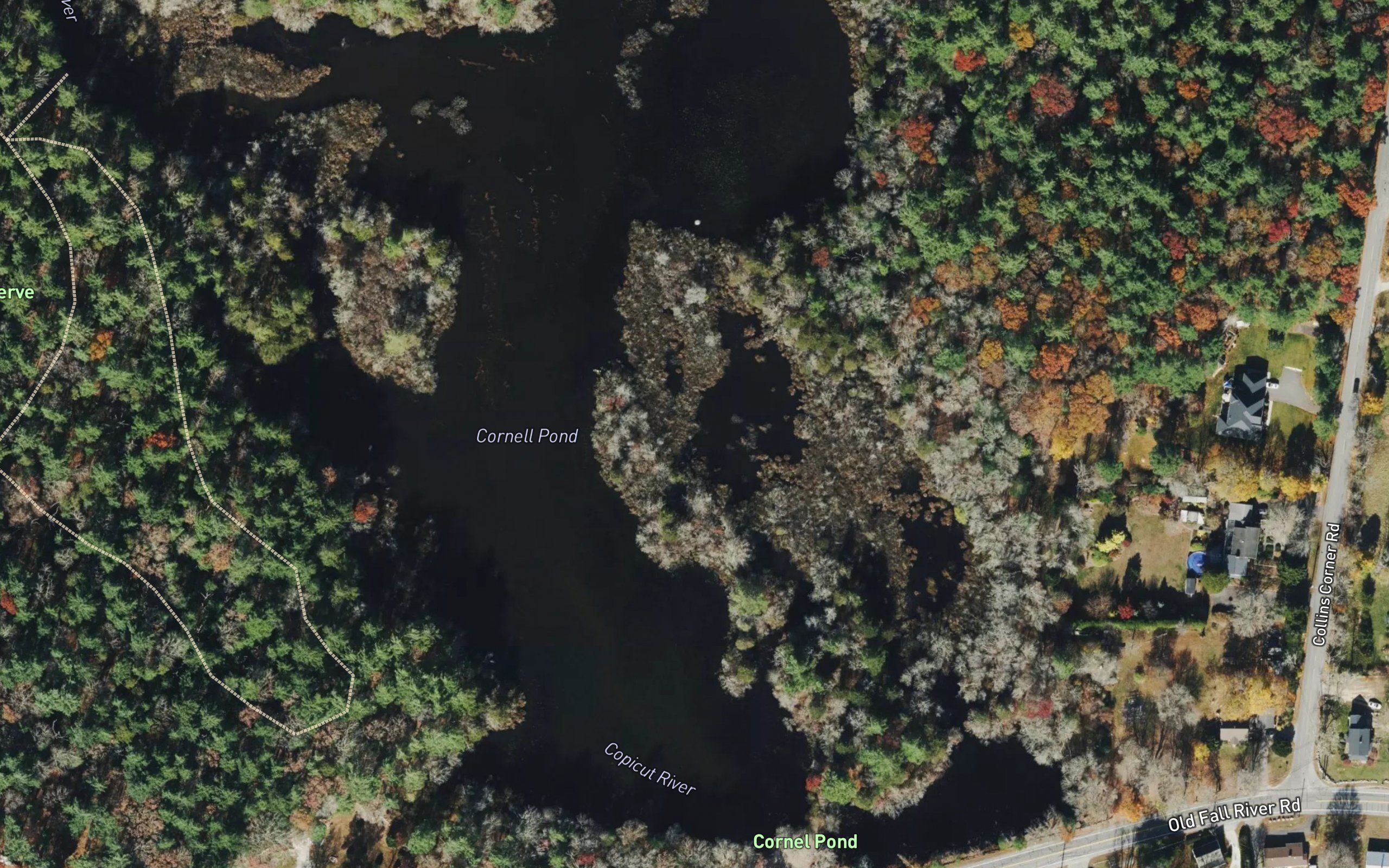 Cornell Pond