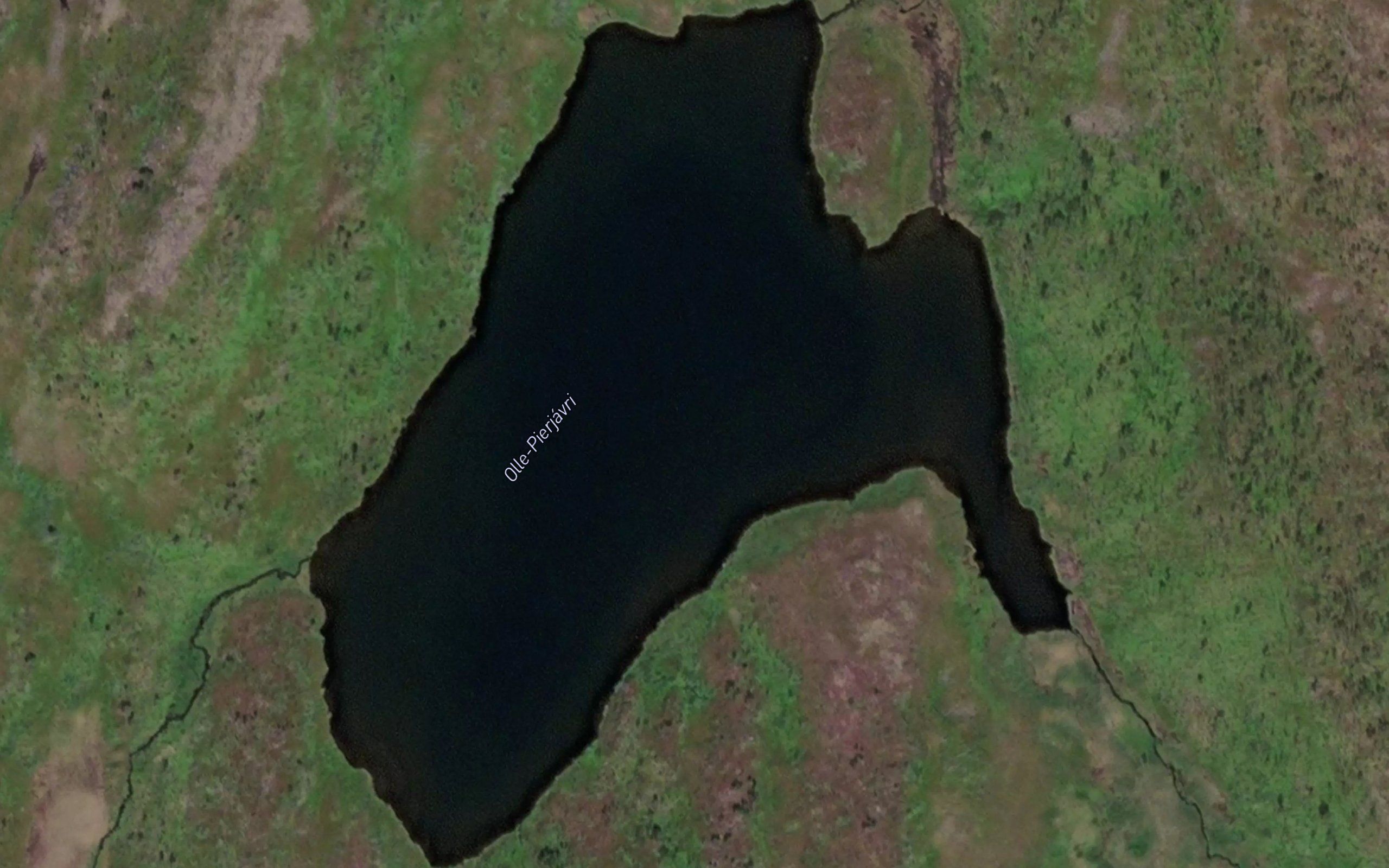 Alle-Pier-javri