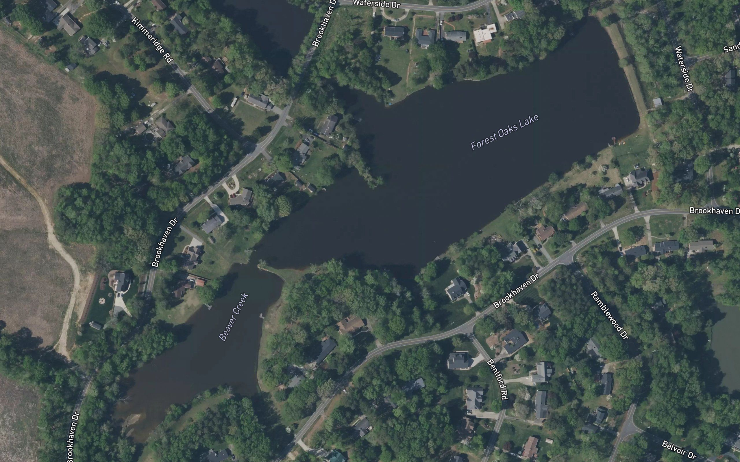 Forest Oaks Lake