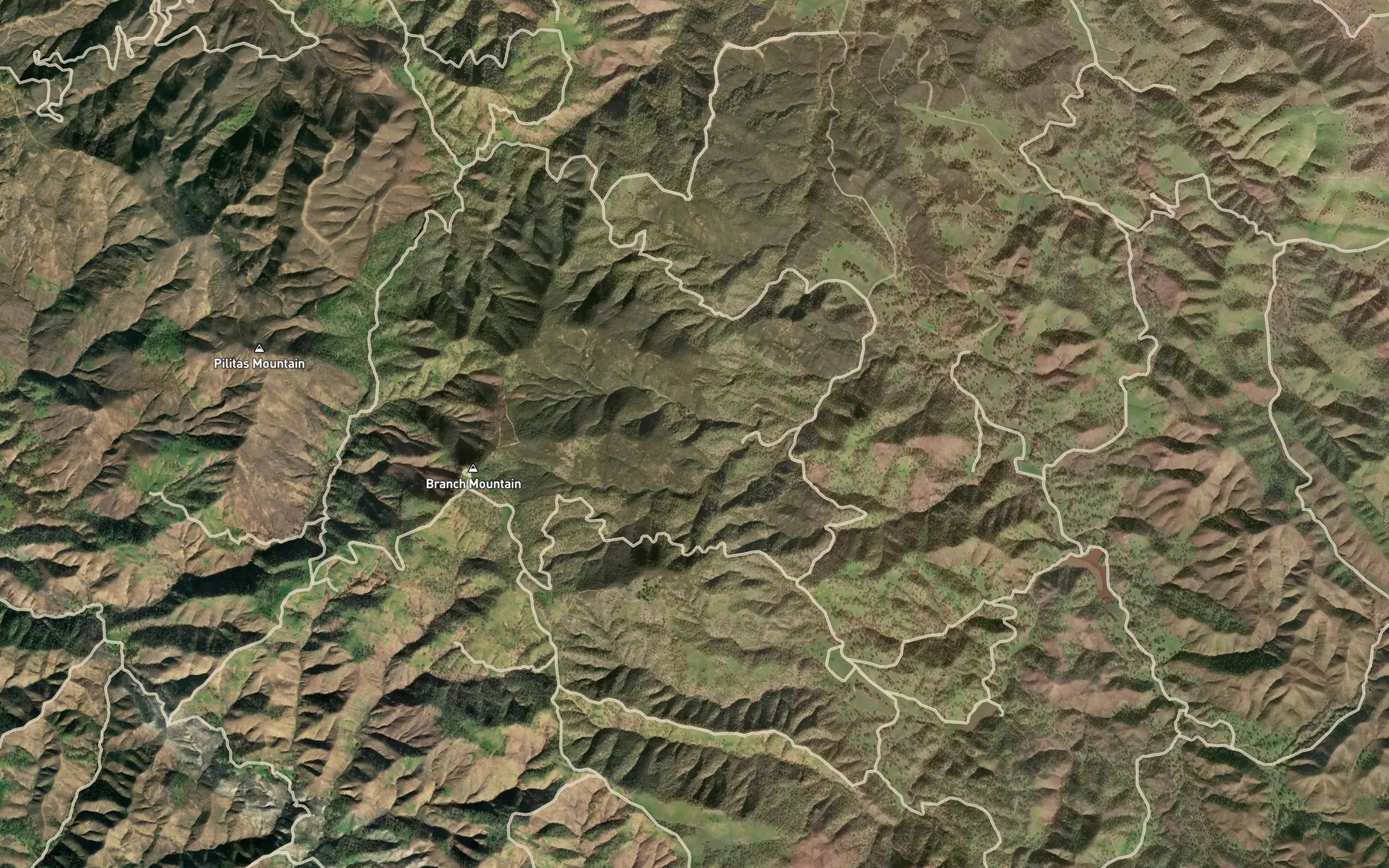 Satellite map of the Live Oak Spring