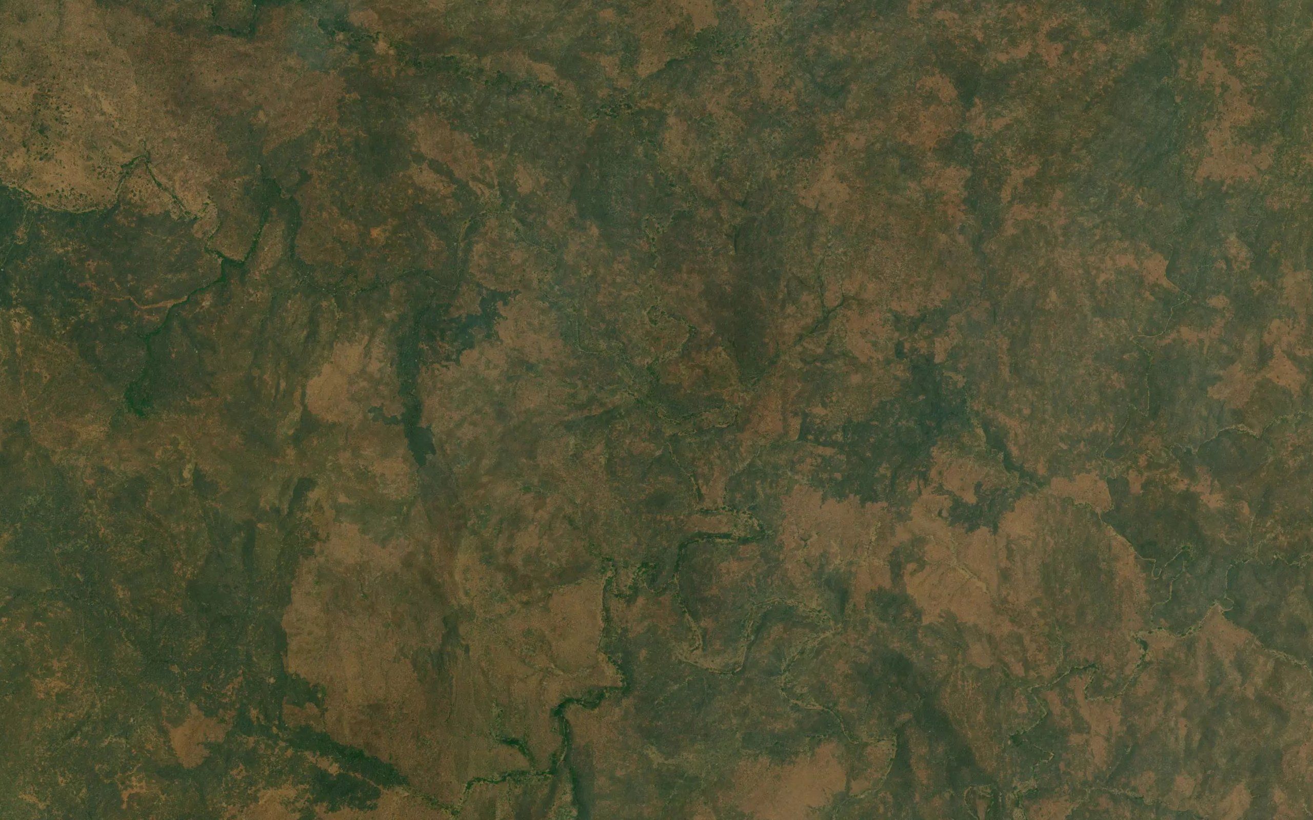 Mulambo