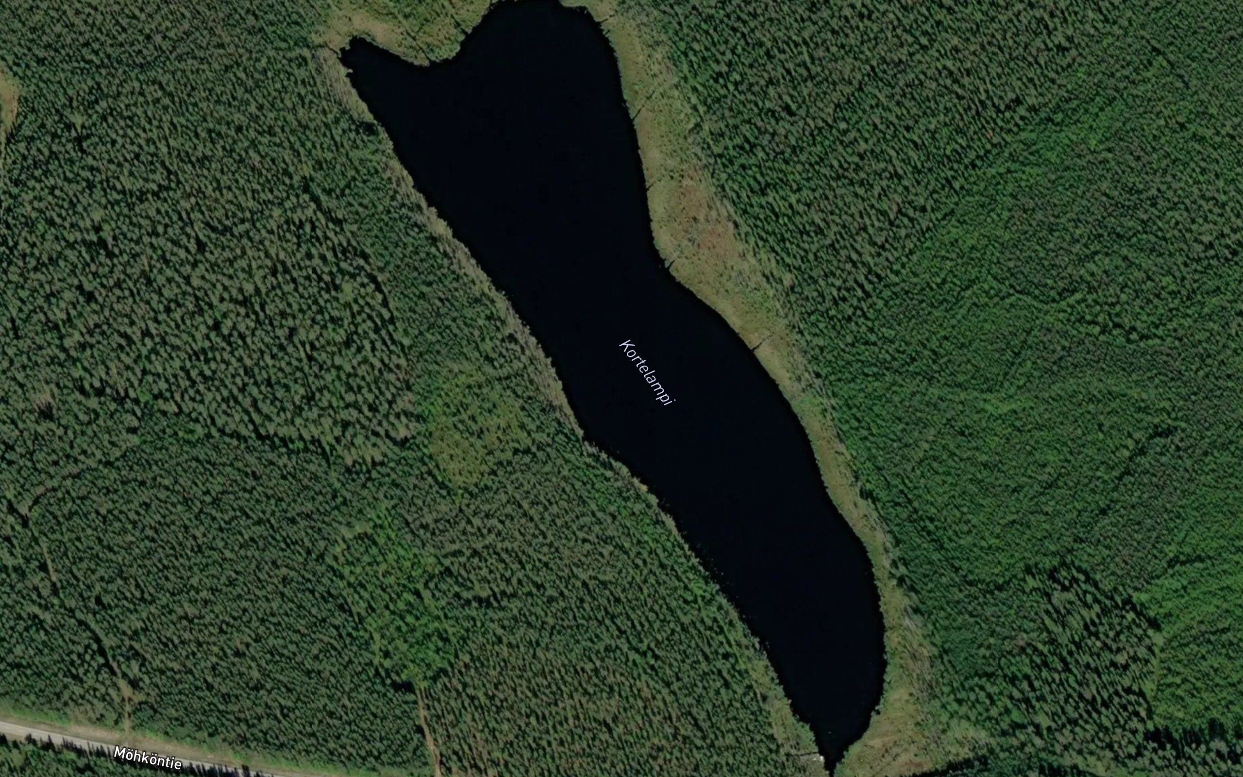 Kortelampi