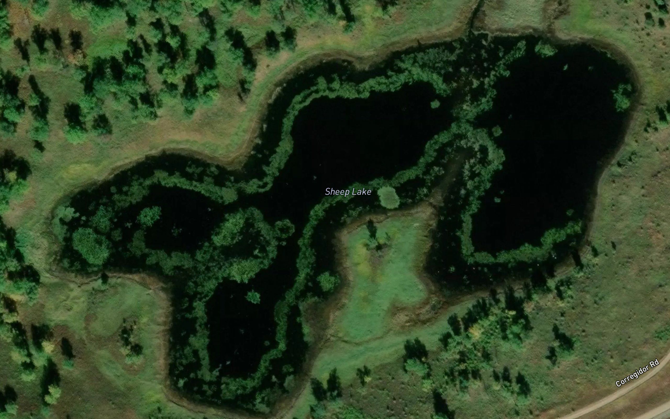 Sheep Lake