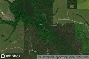 Dry Branch