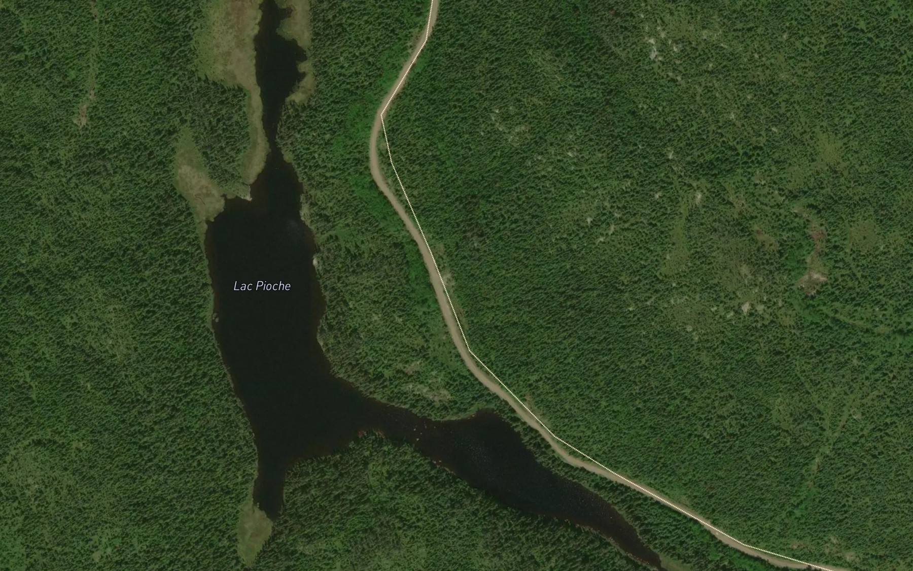 Satellite map of the Lac Pioche