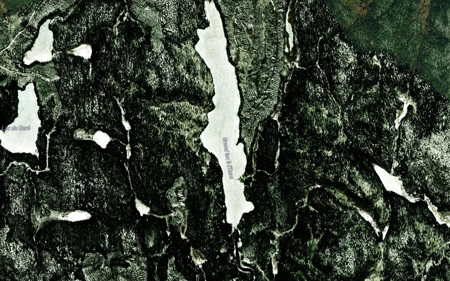 Satellite map of the Grand lac a l'Ours