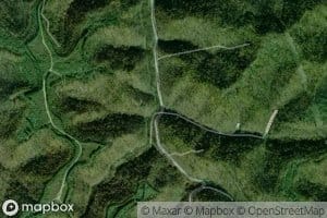 Big Thicket Branch