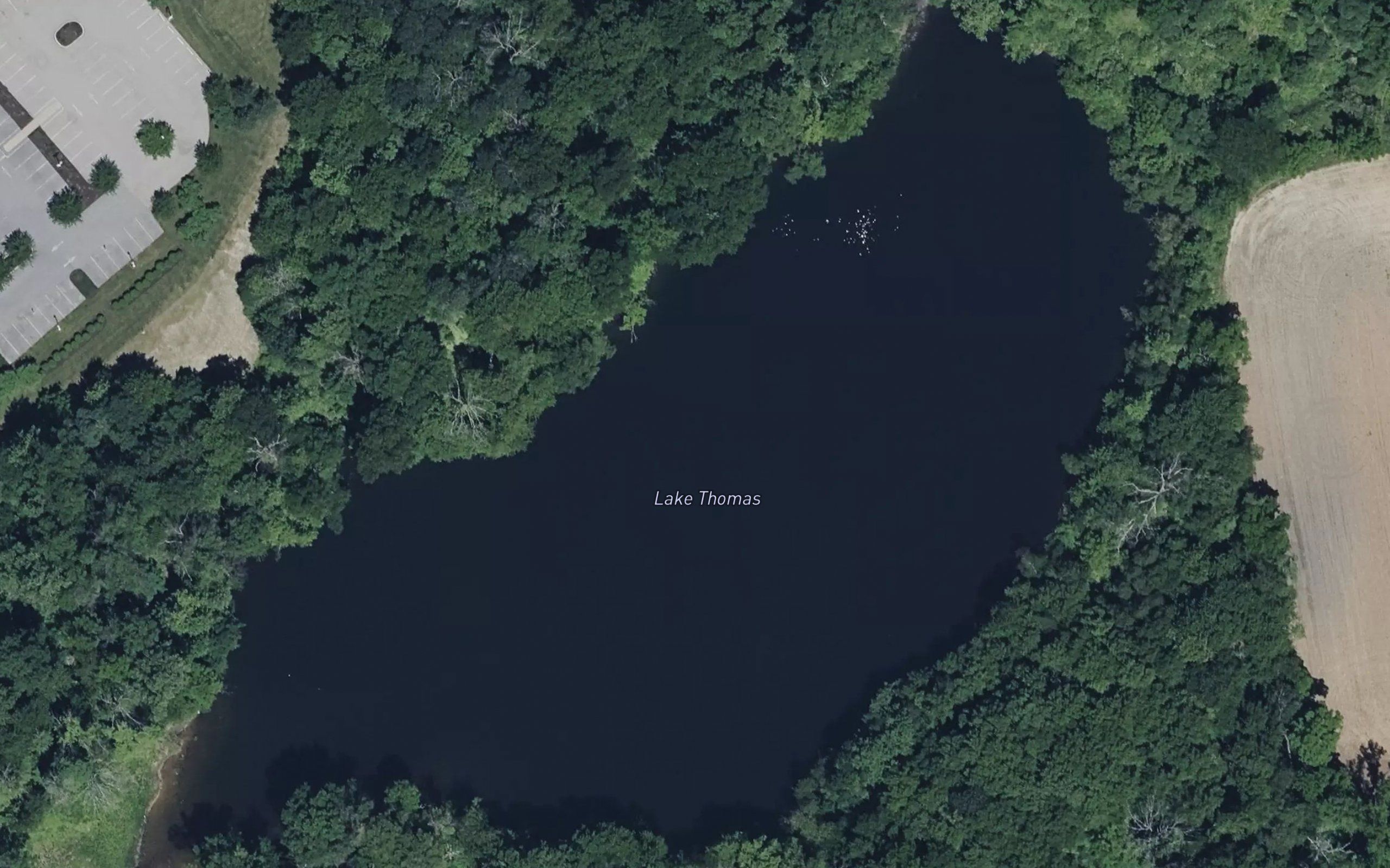Lake Thomas