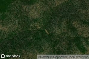 Left Fork North Fork Cranberry River