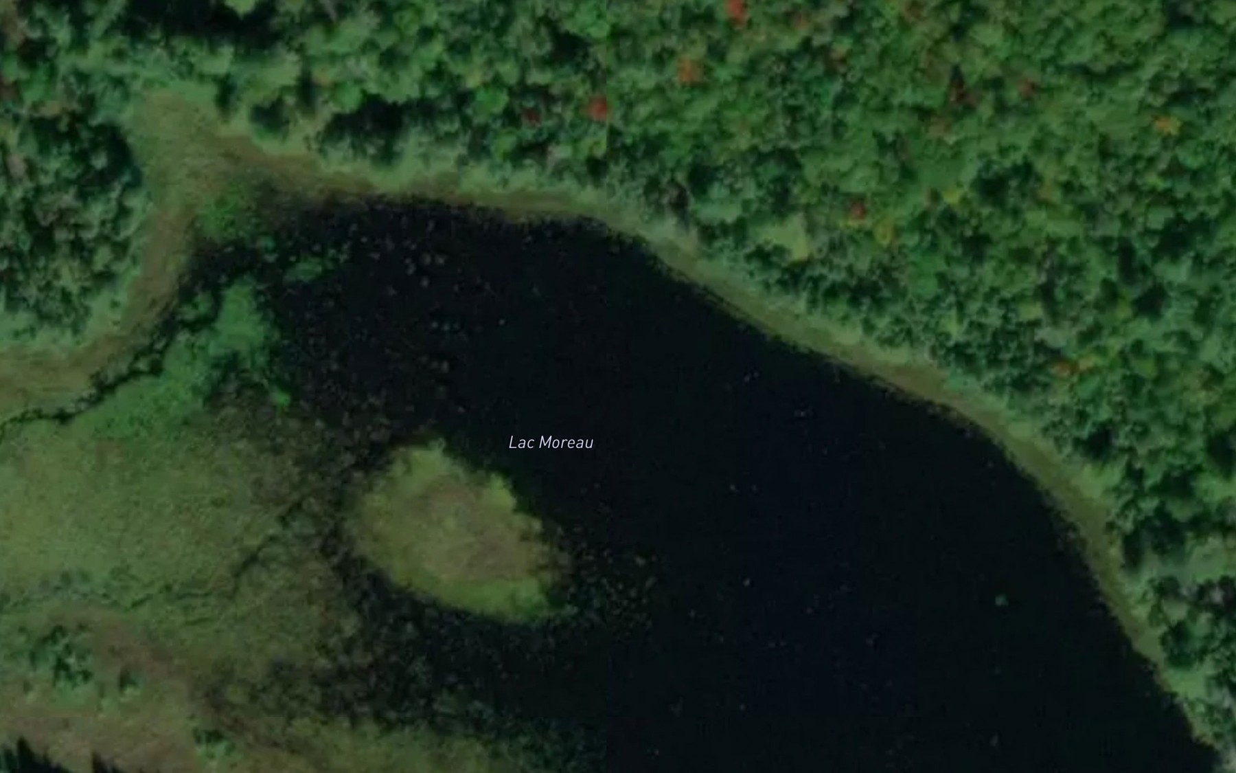 Satellite map of the Lac Moreau