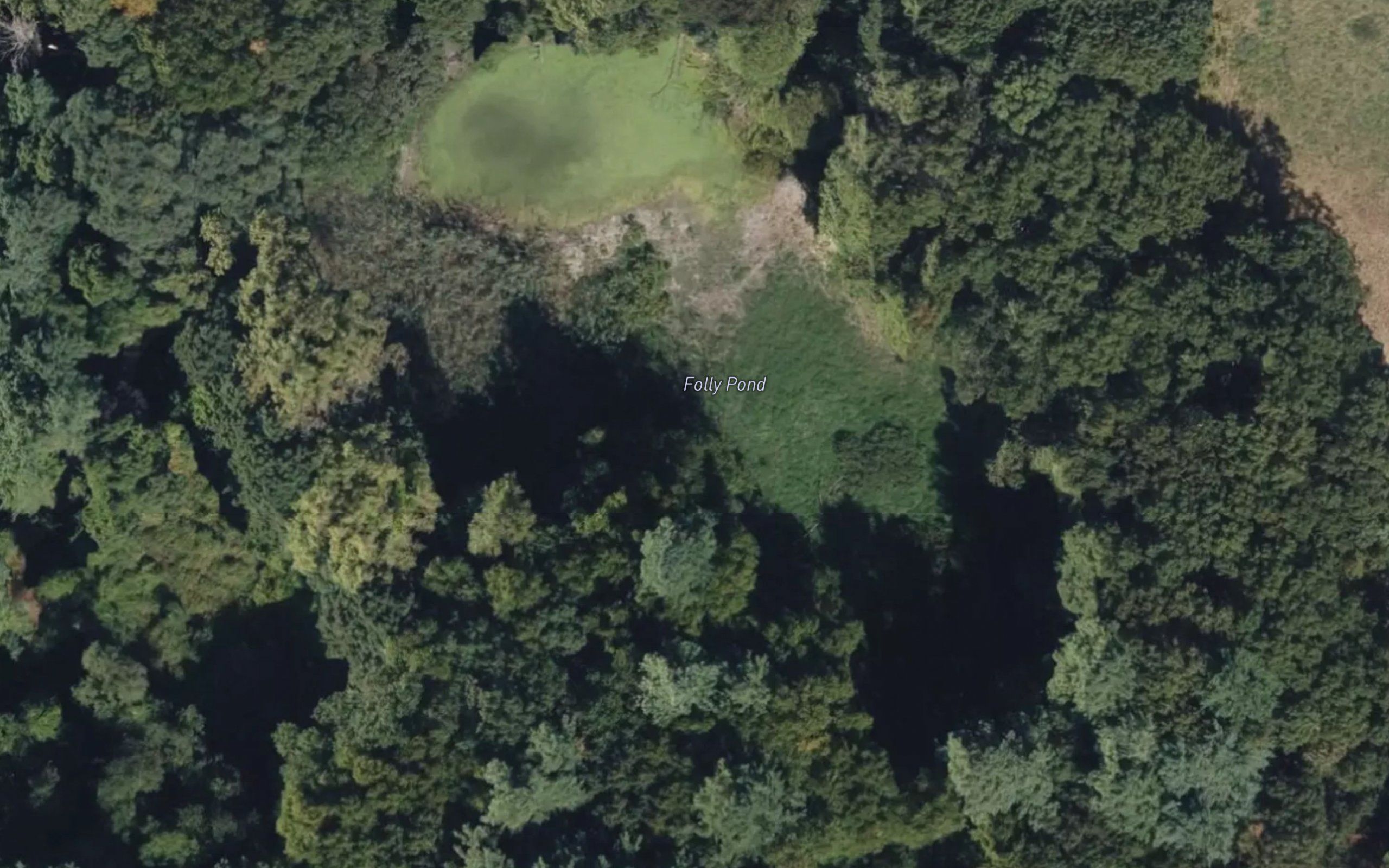 Folly Pond