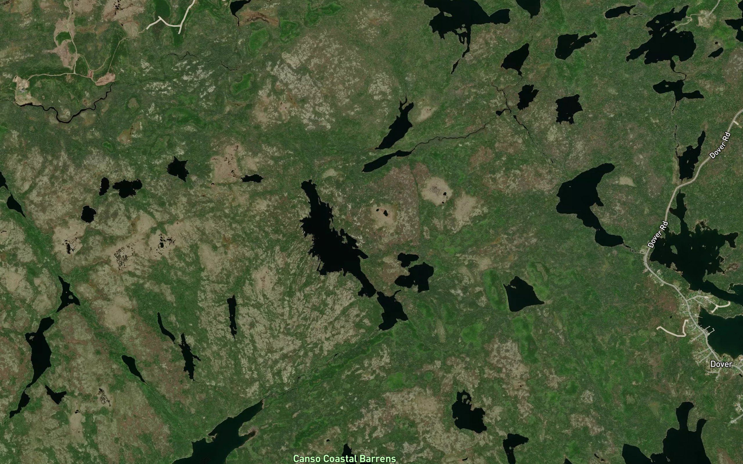 Northeast Branch Lakes