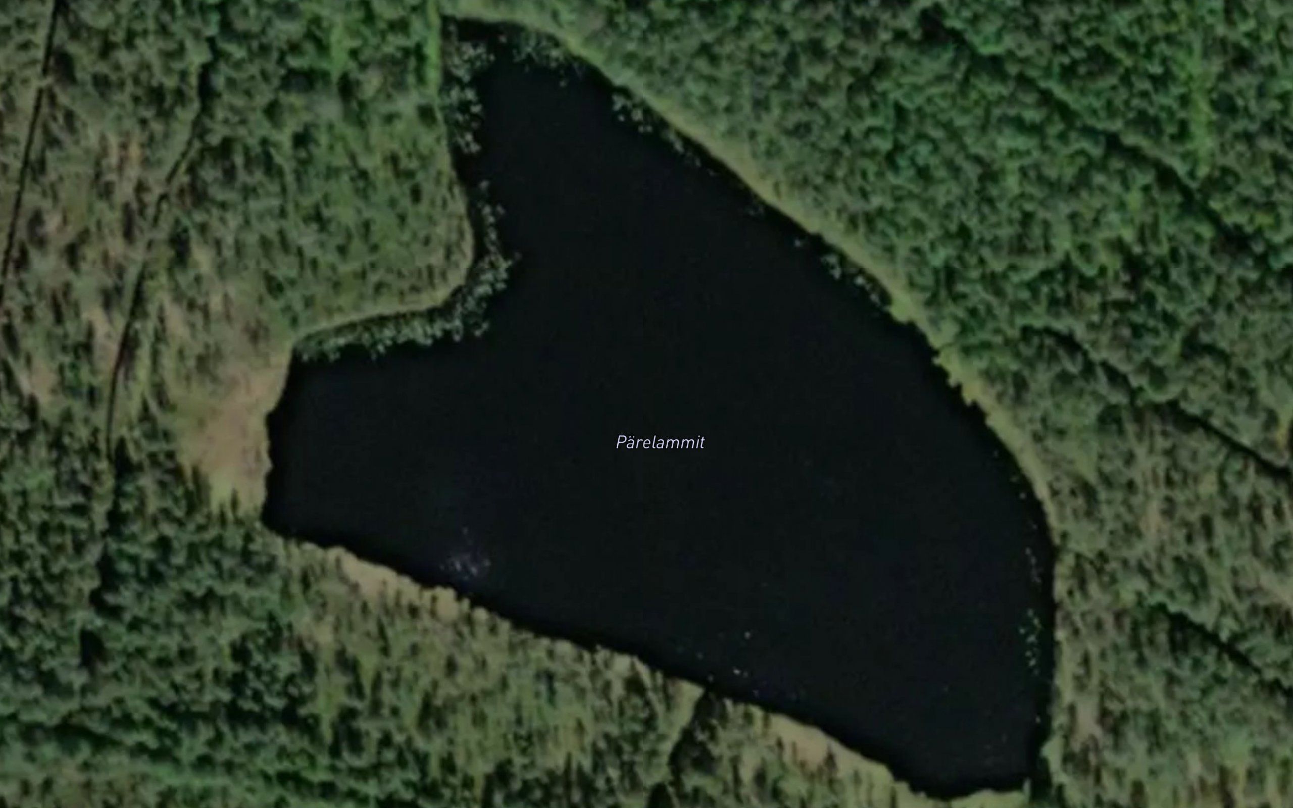 Parelammit