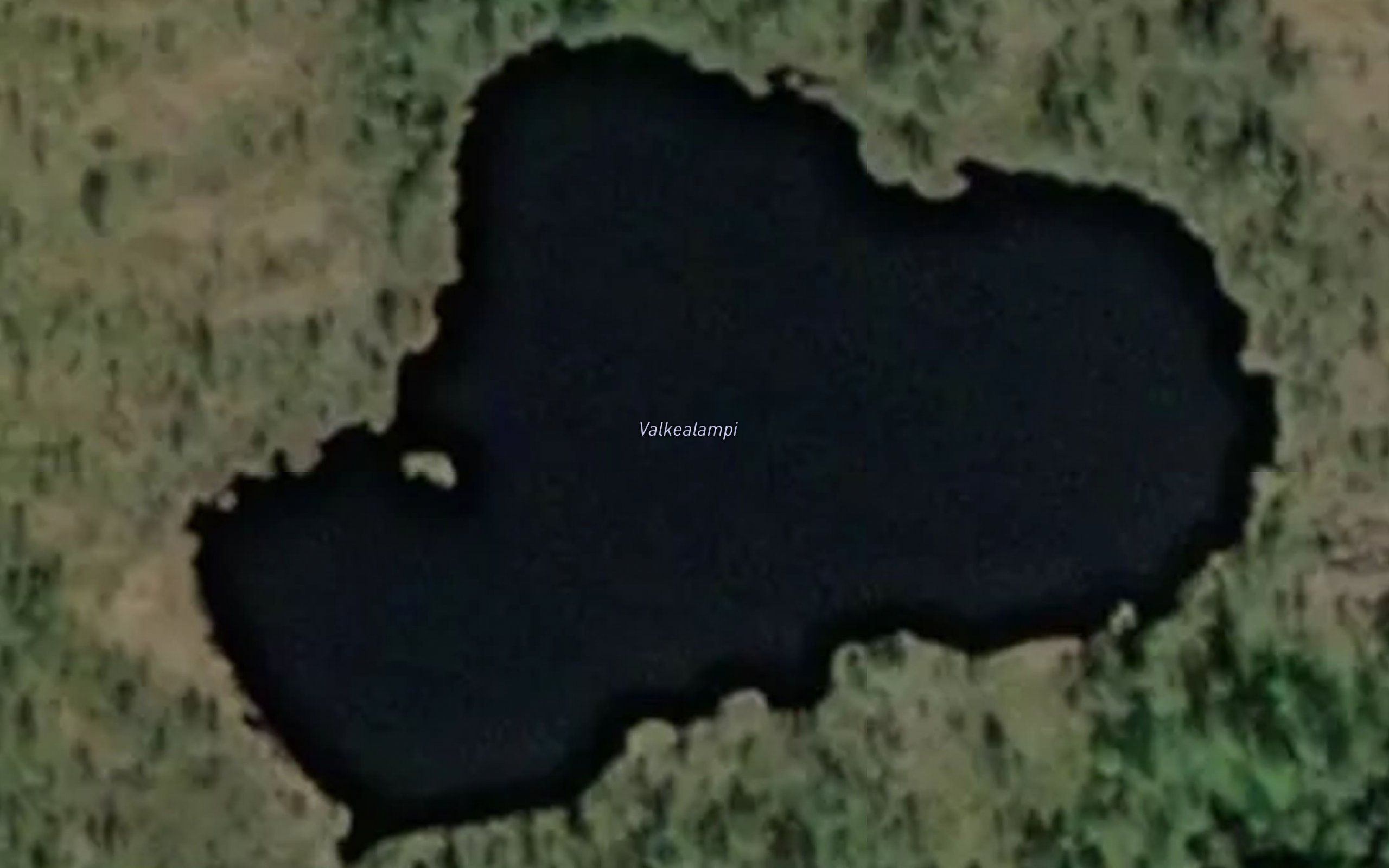 Valkealampi