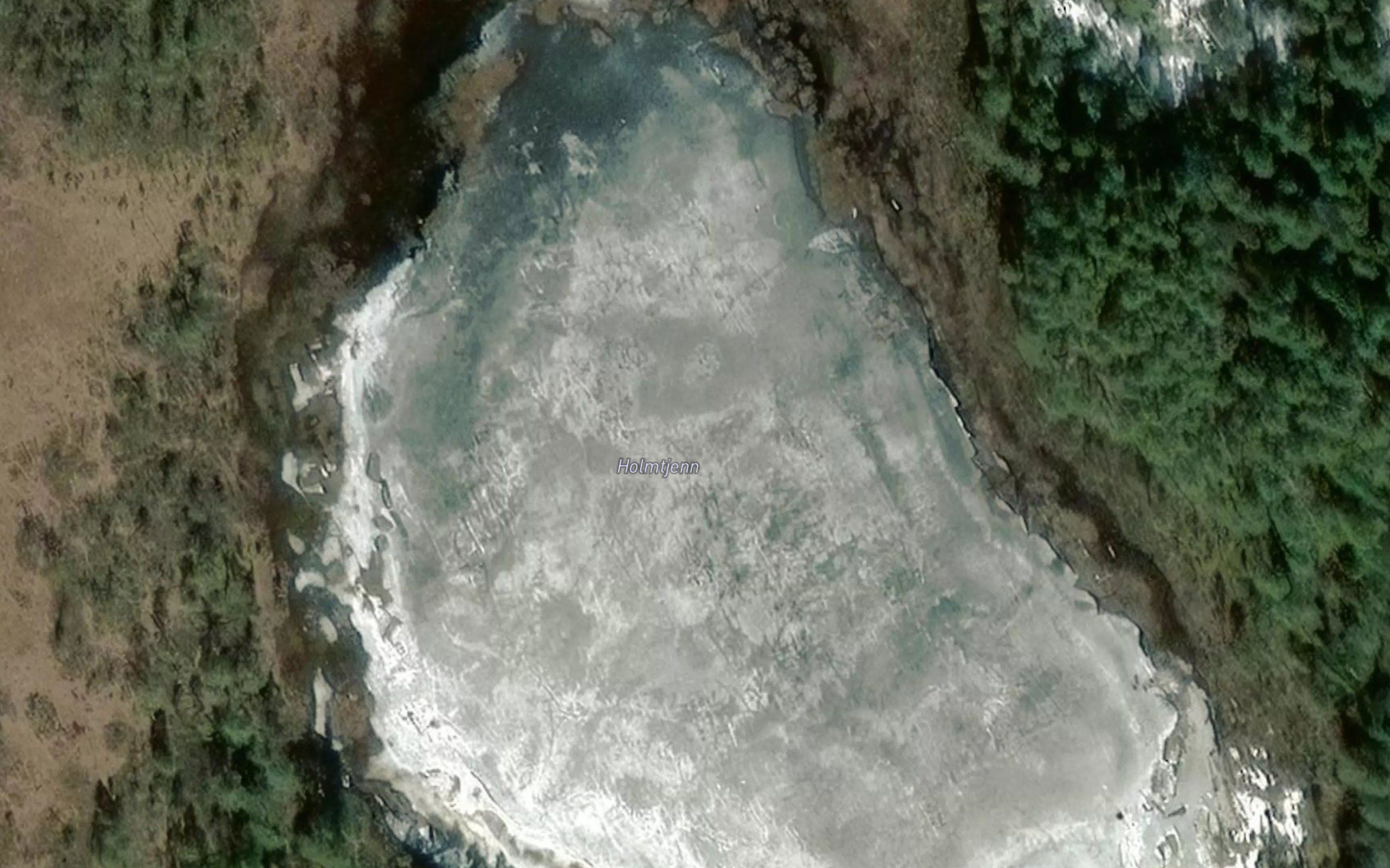 Holmtjern