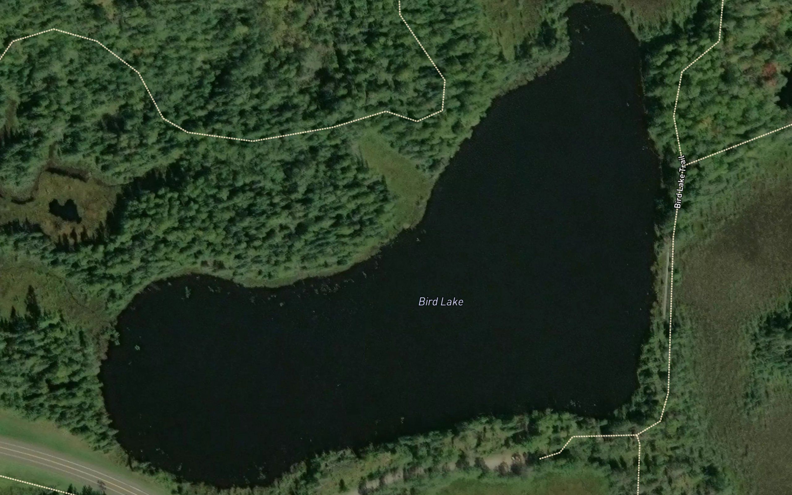Bird Lake