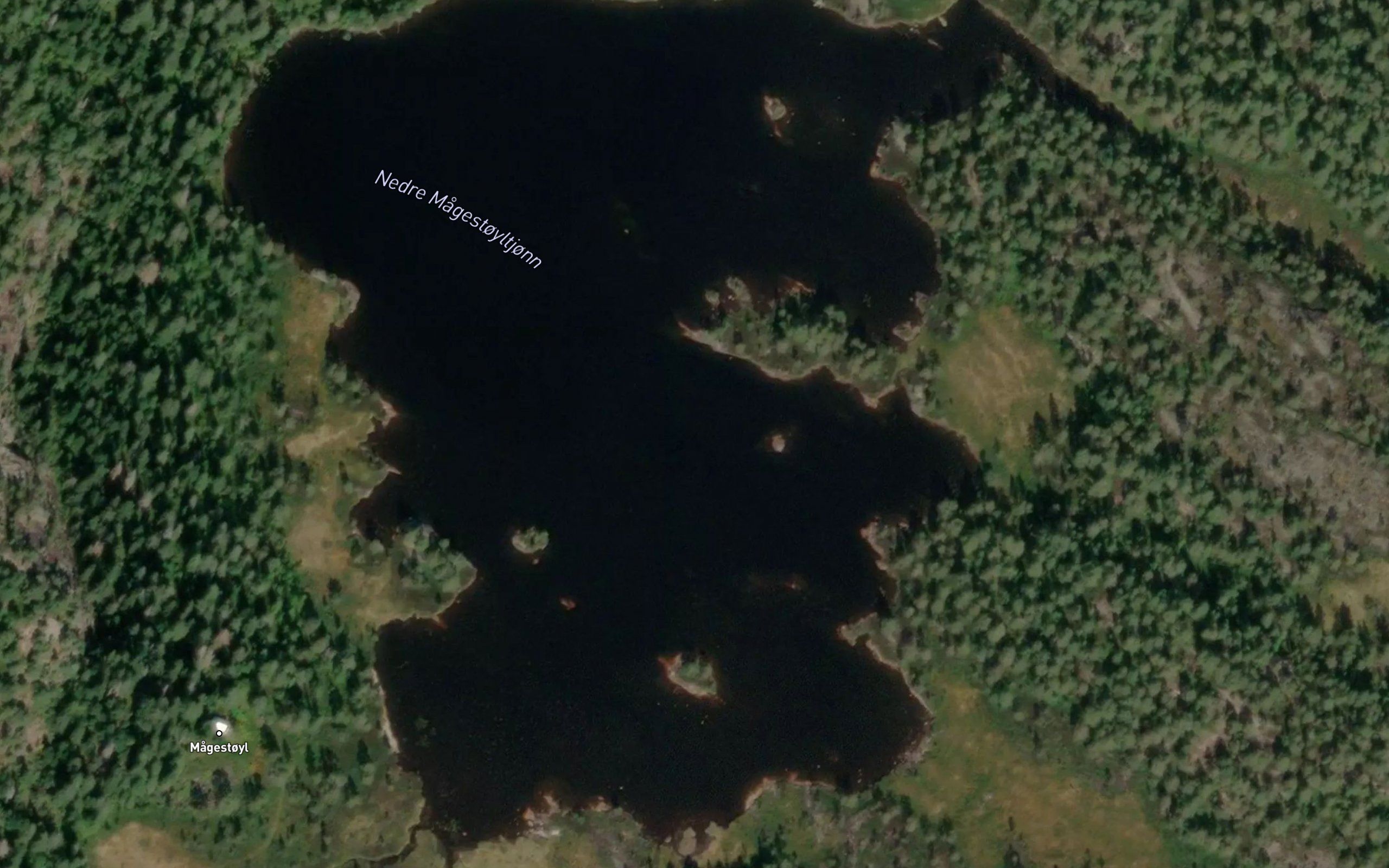 Magestoyltjonn,nedre