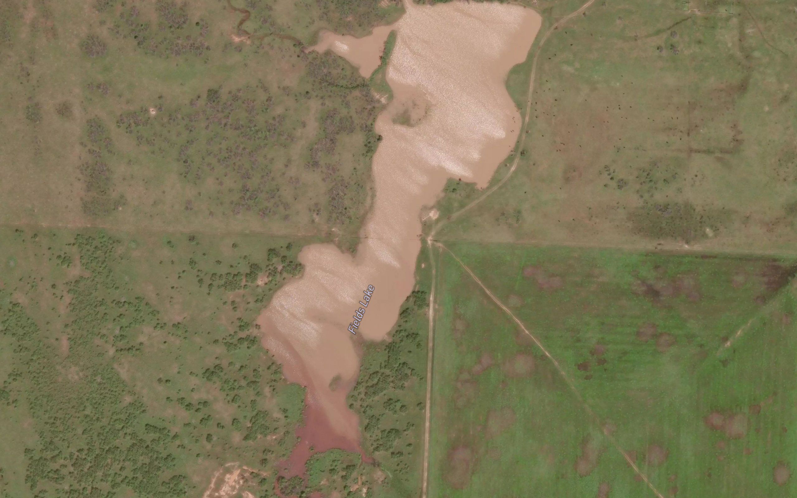 Fields Lake