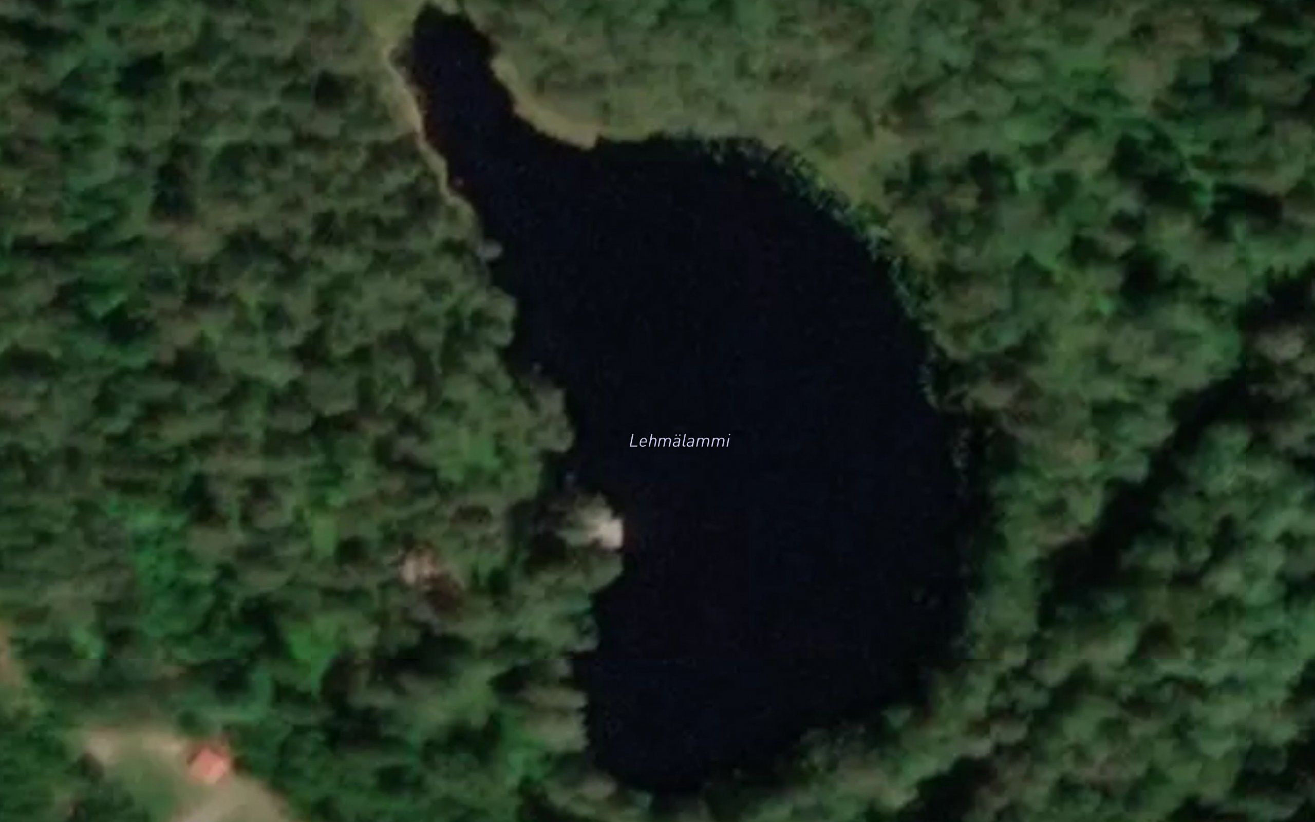 Lehmalammi