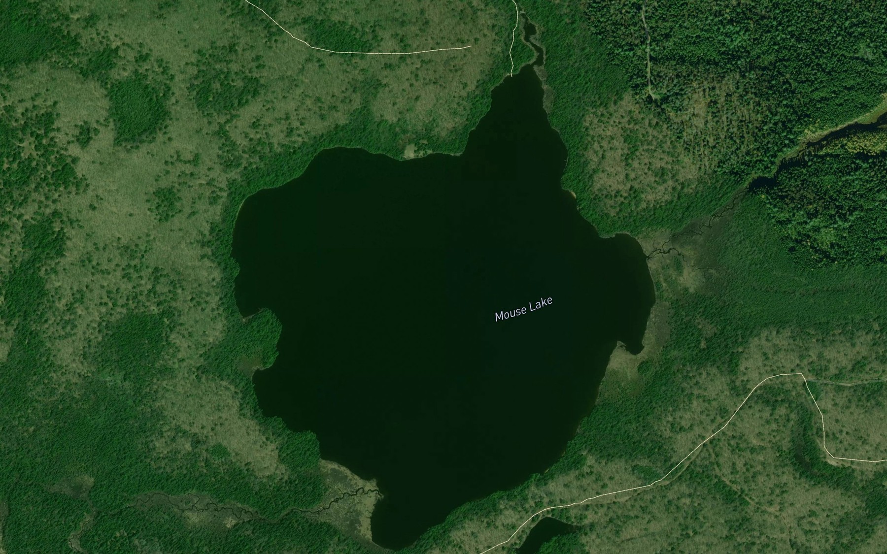 Satellite map of the Mouse Lake