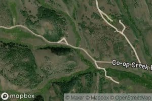 Left Fork Currant Creek