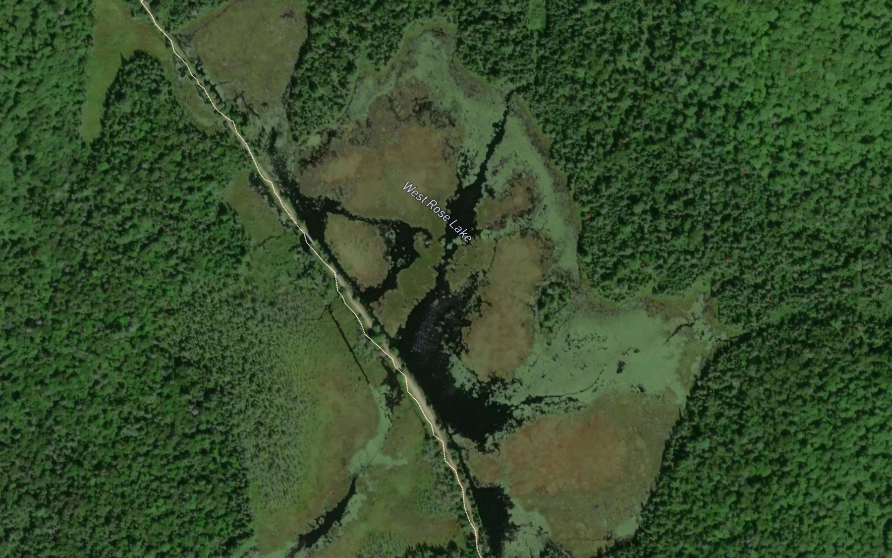 Satellite map of the West Rose Lake