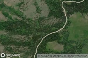 Willow Swamp Creek