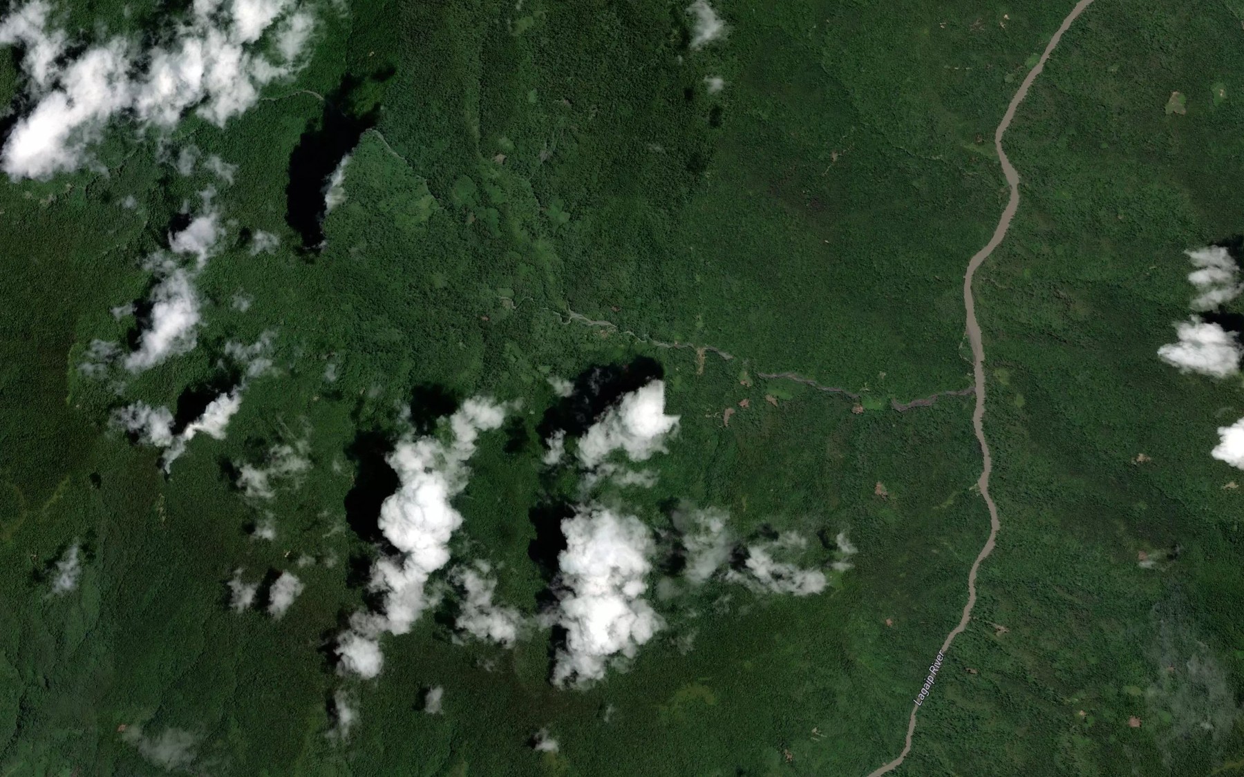 Satellite map of the Paru River