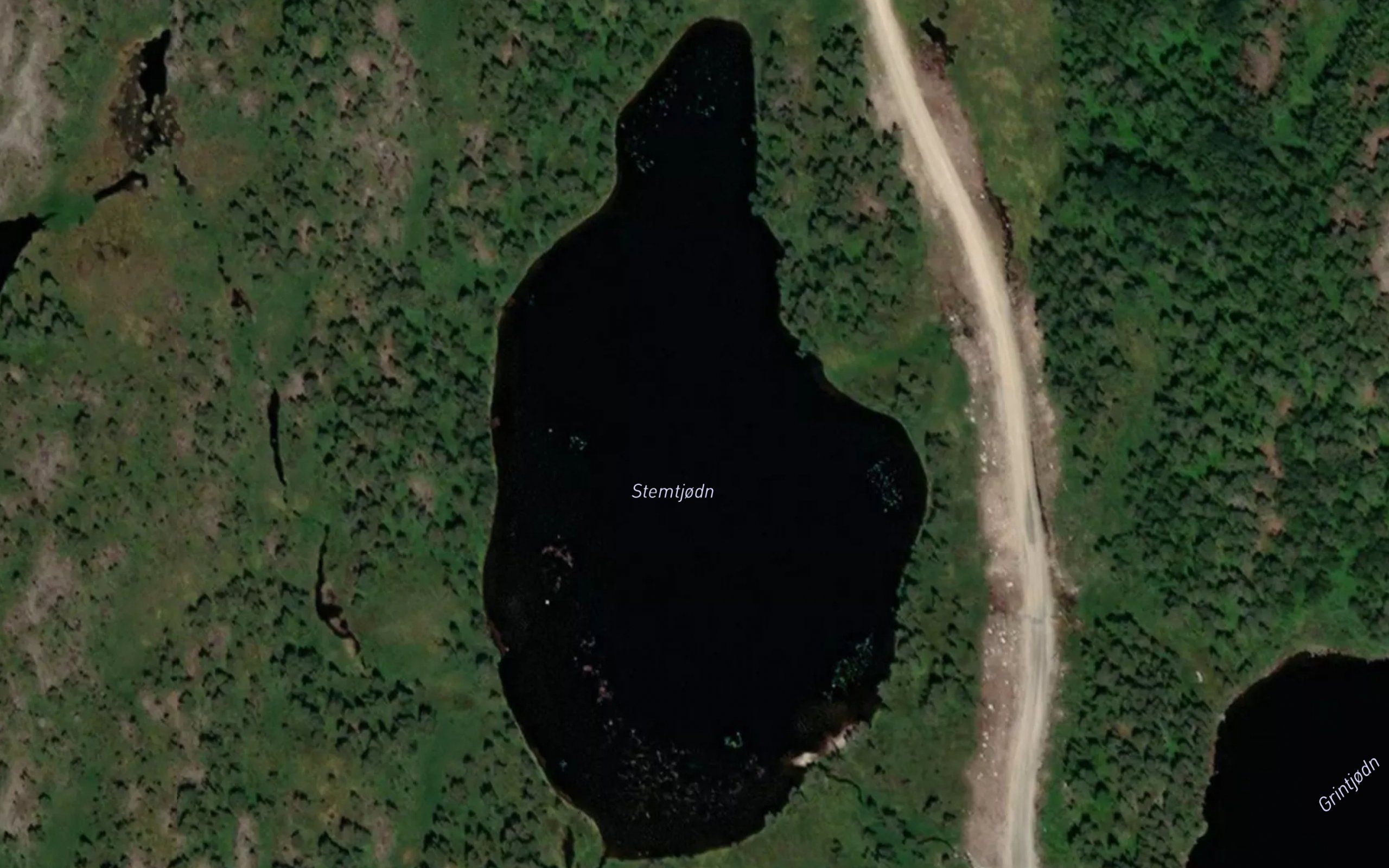 Stemtjorna