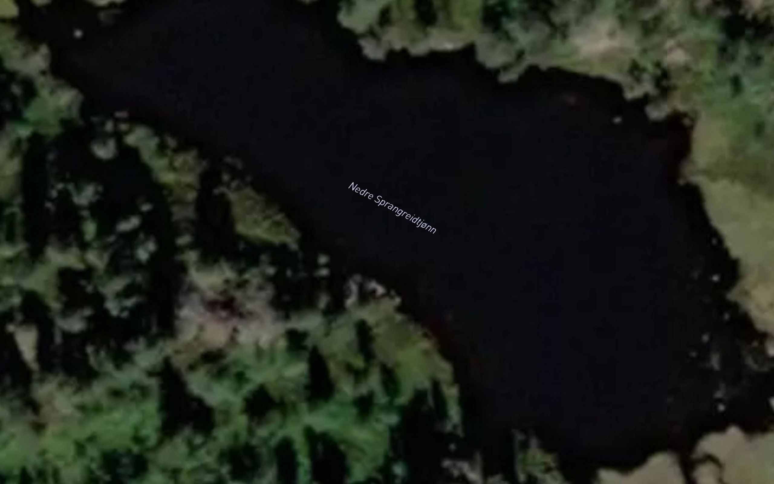 Sprangreidtjornin
