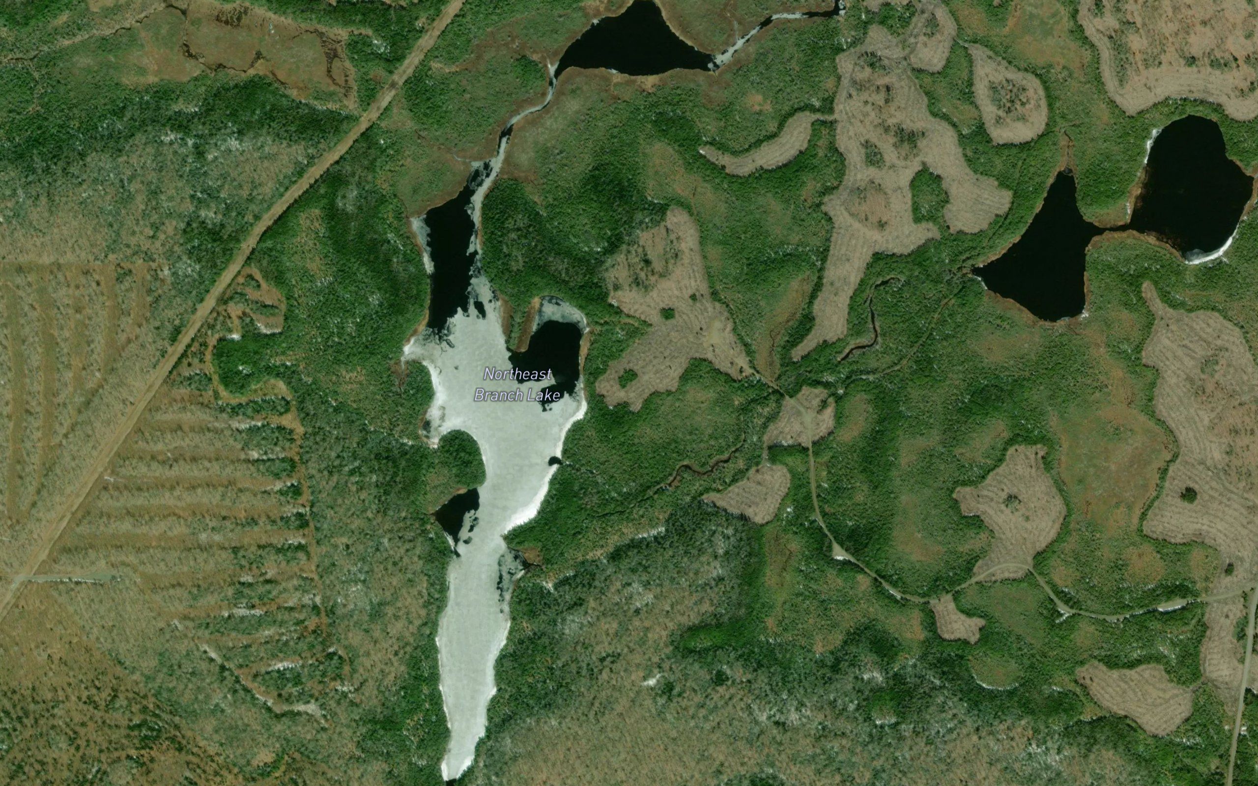 Northeast Branch Lake