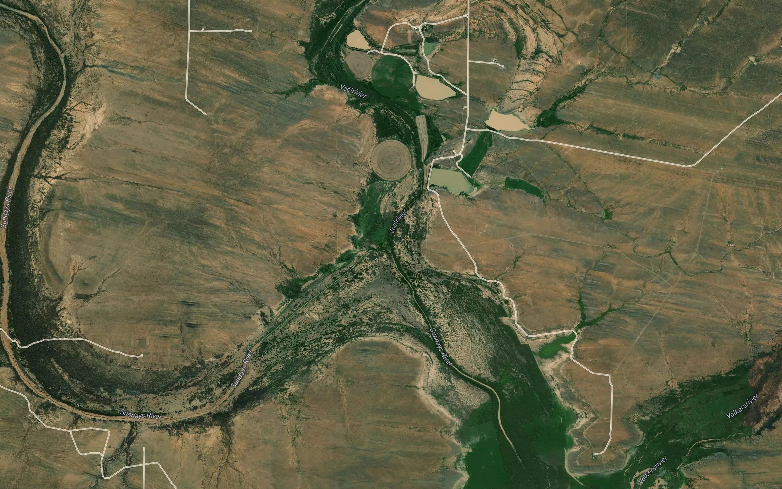 Voelrivier