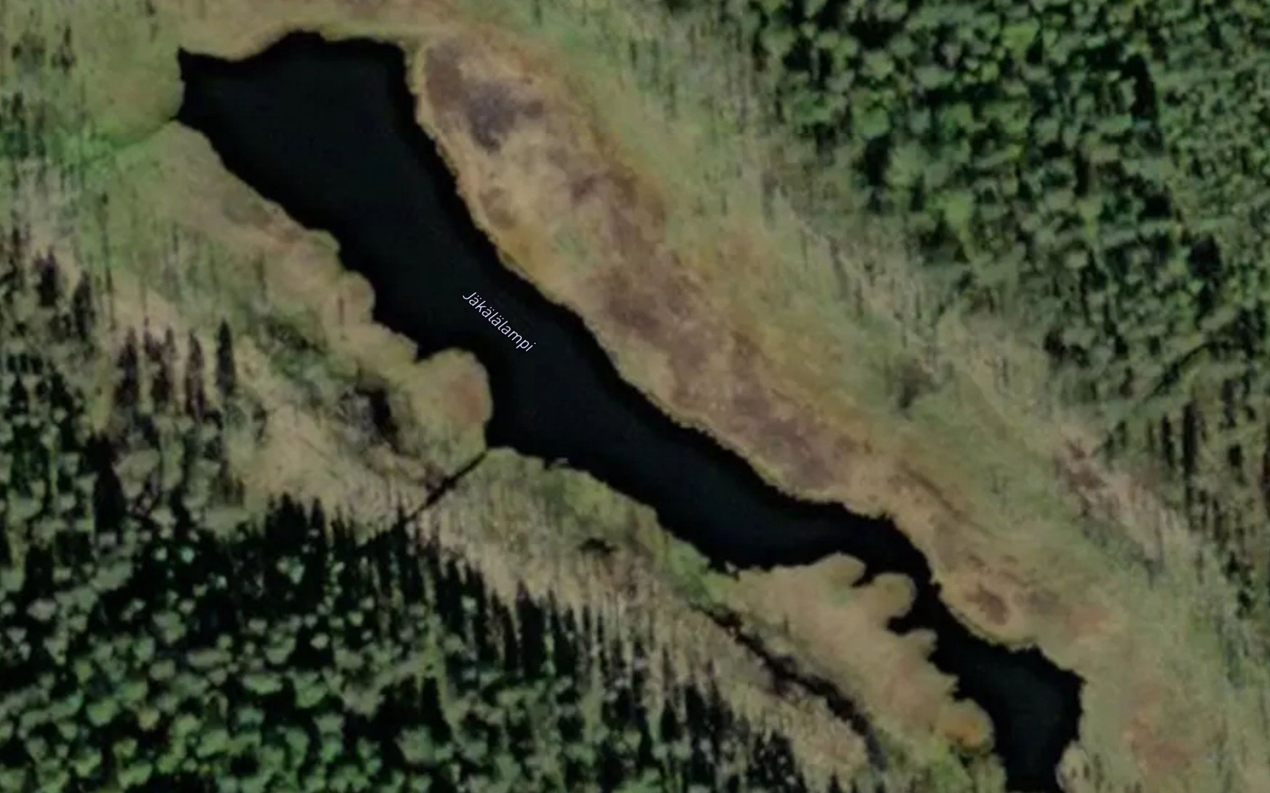 Jakalalampi