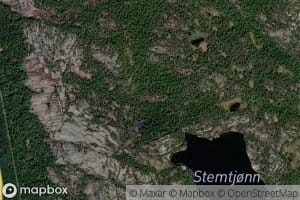 Stemtjornani