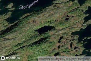 Angeltjorna,l