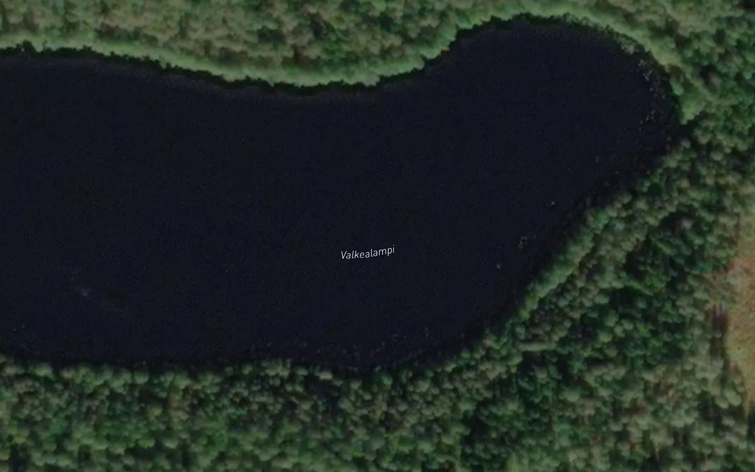 Valkealampi