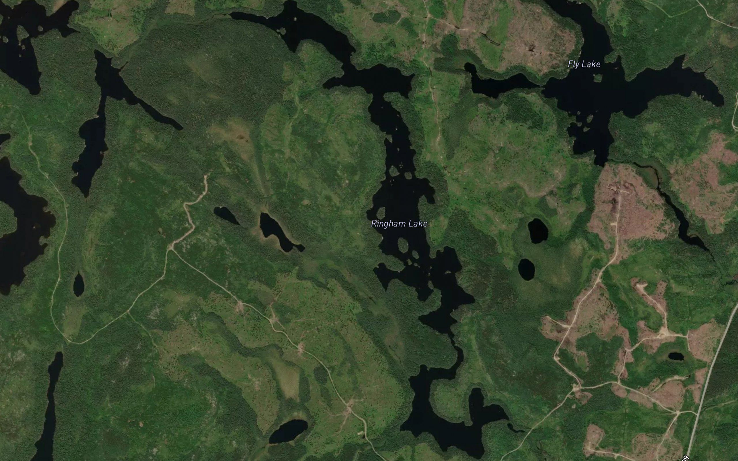 Ringham Lake