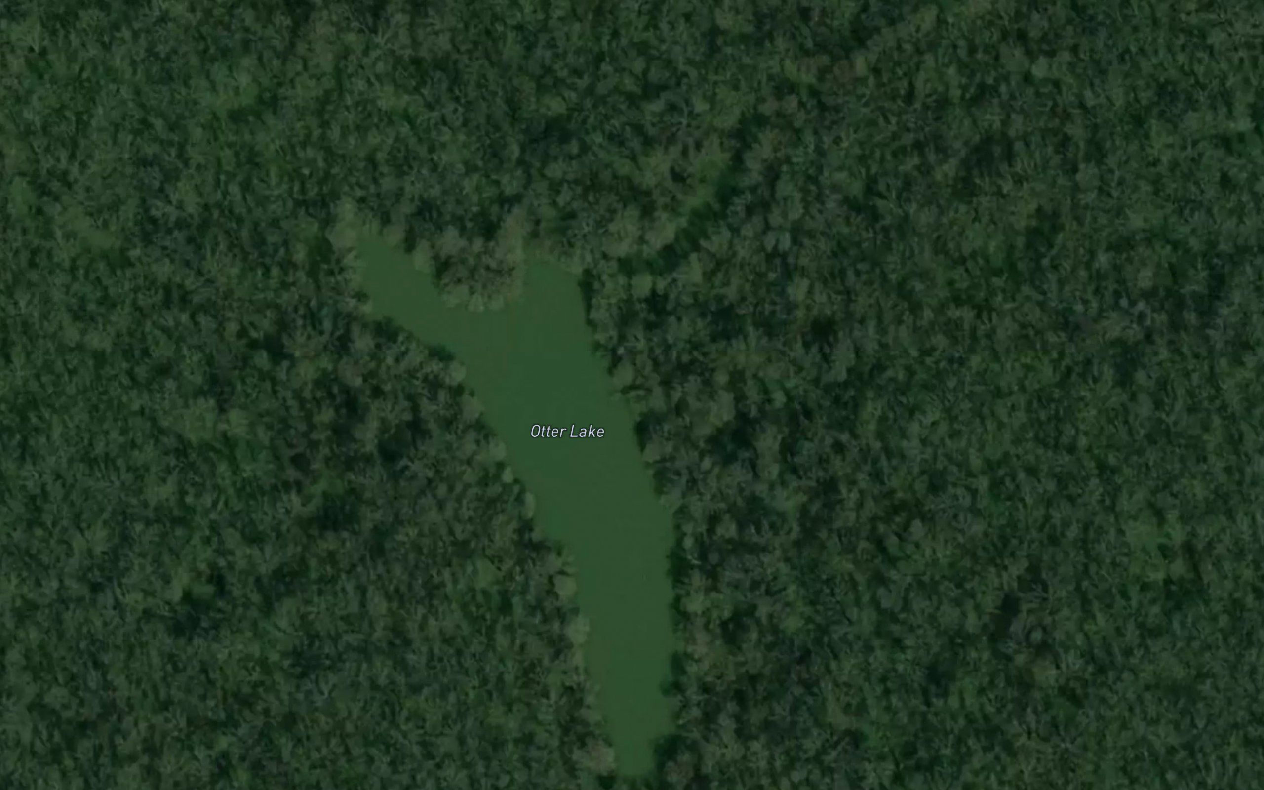 Otter Lake