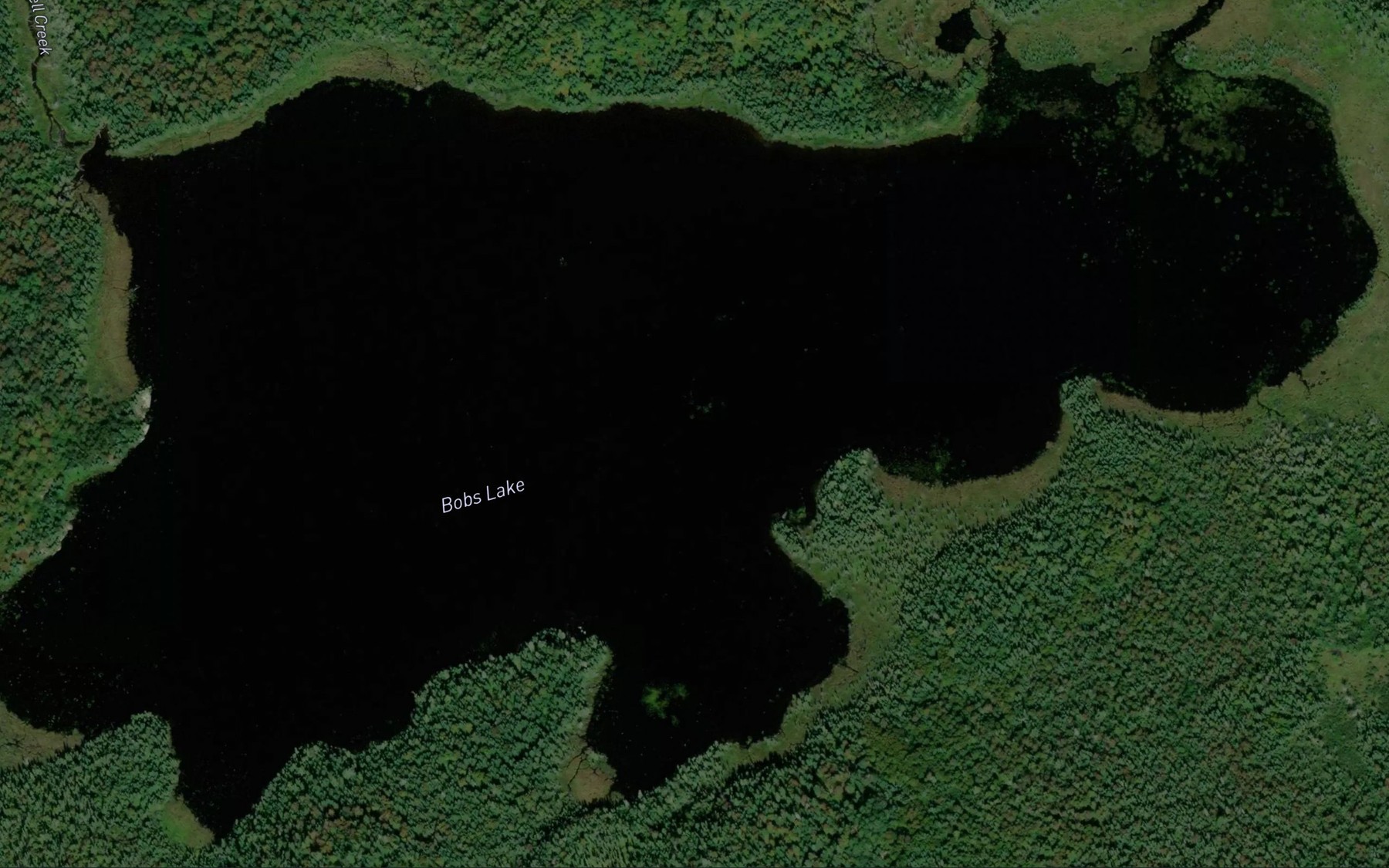 Satellite map of the Bobs Lake