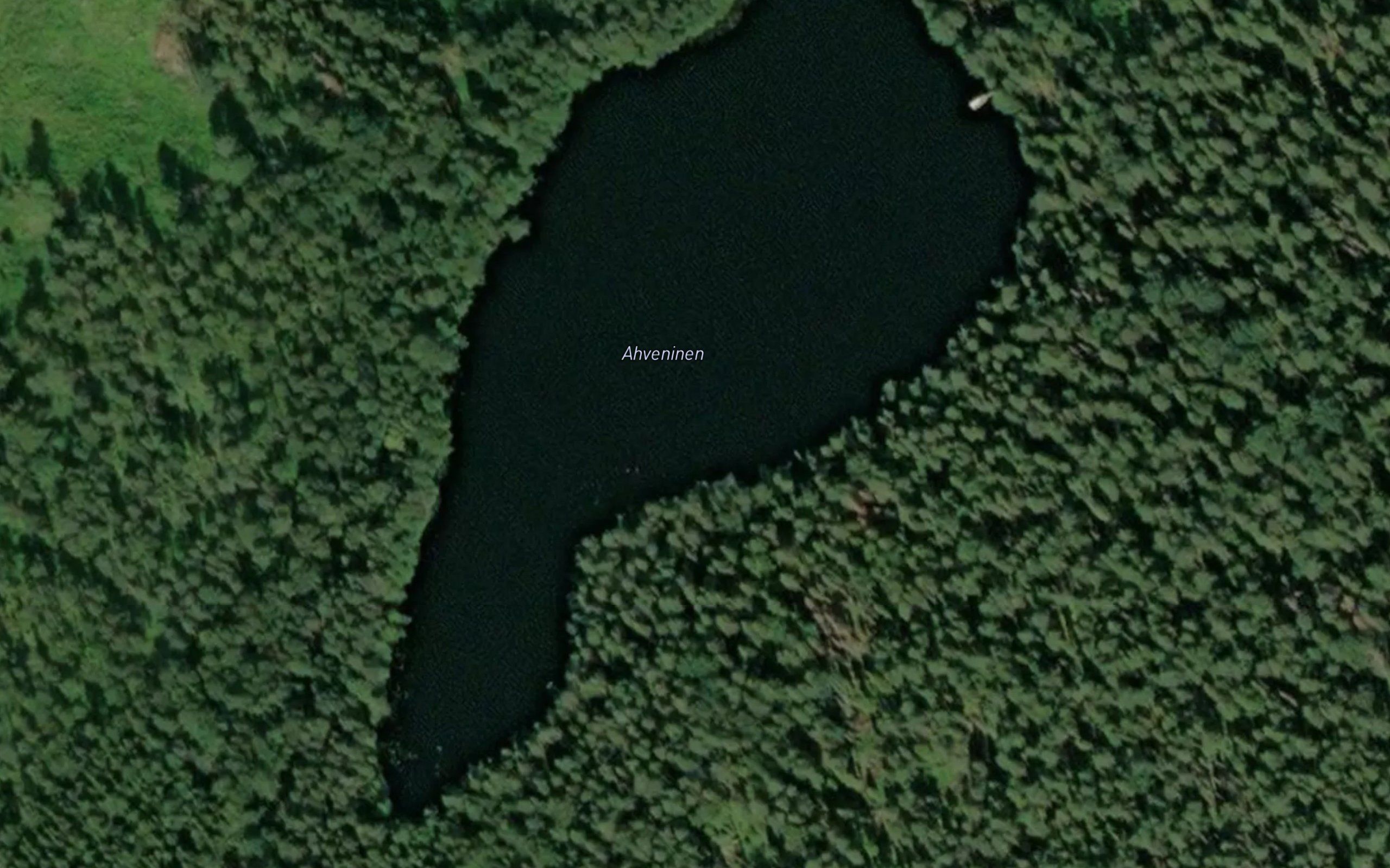 Ahveninen