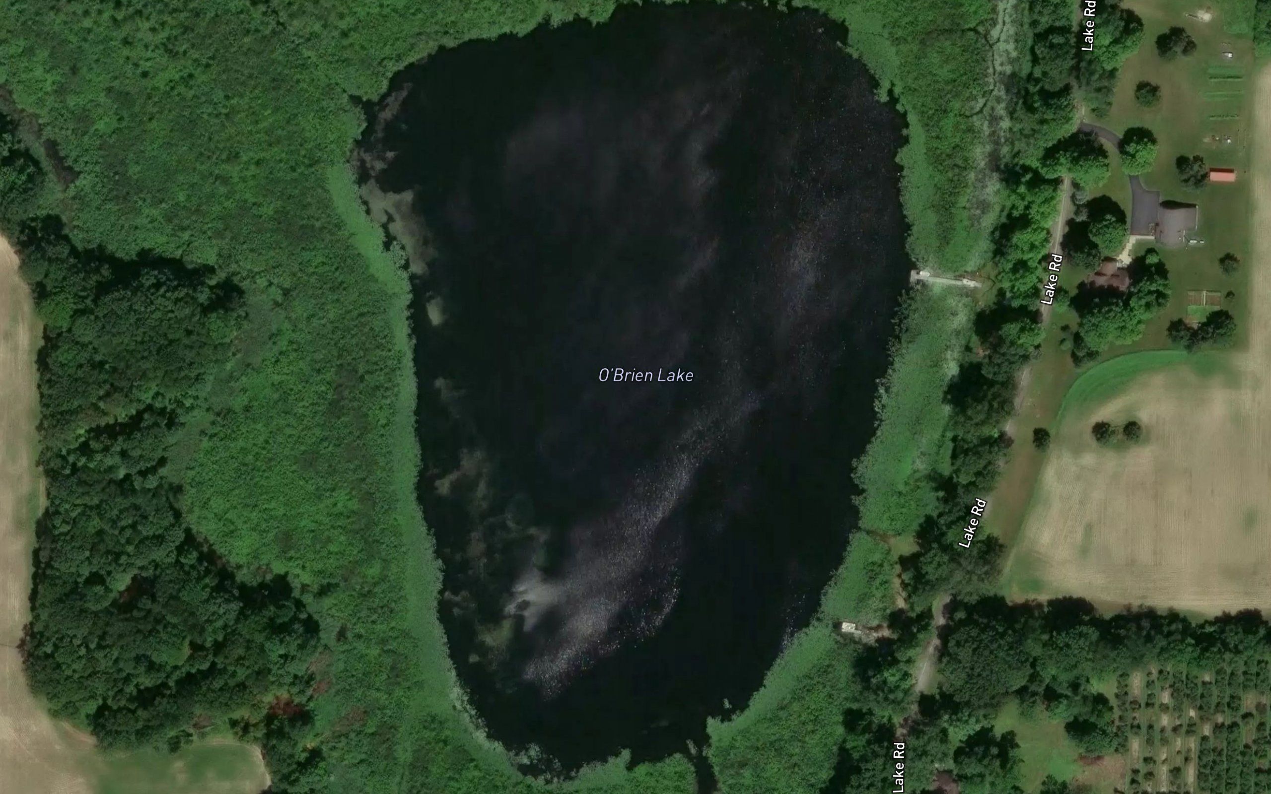 O'Brien Lake
