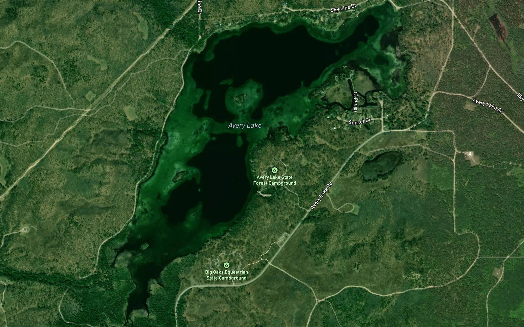 Satellite map of the Avery Lake