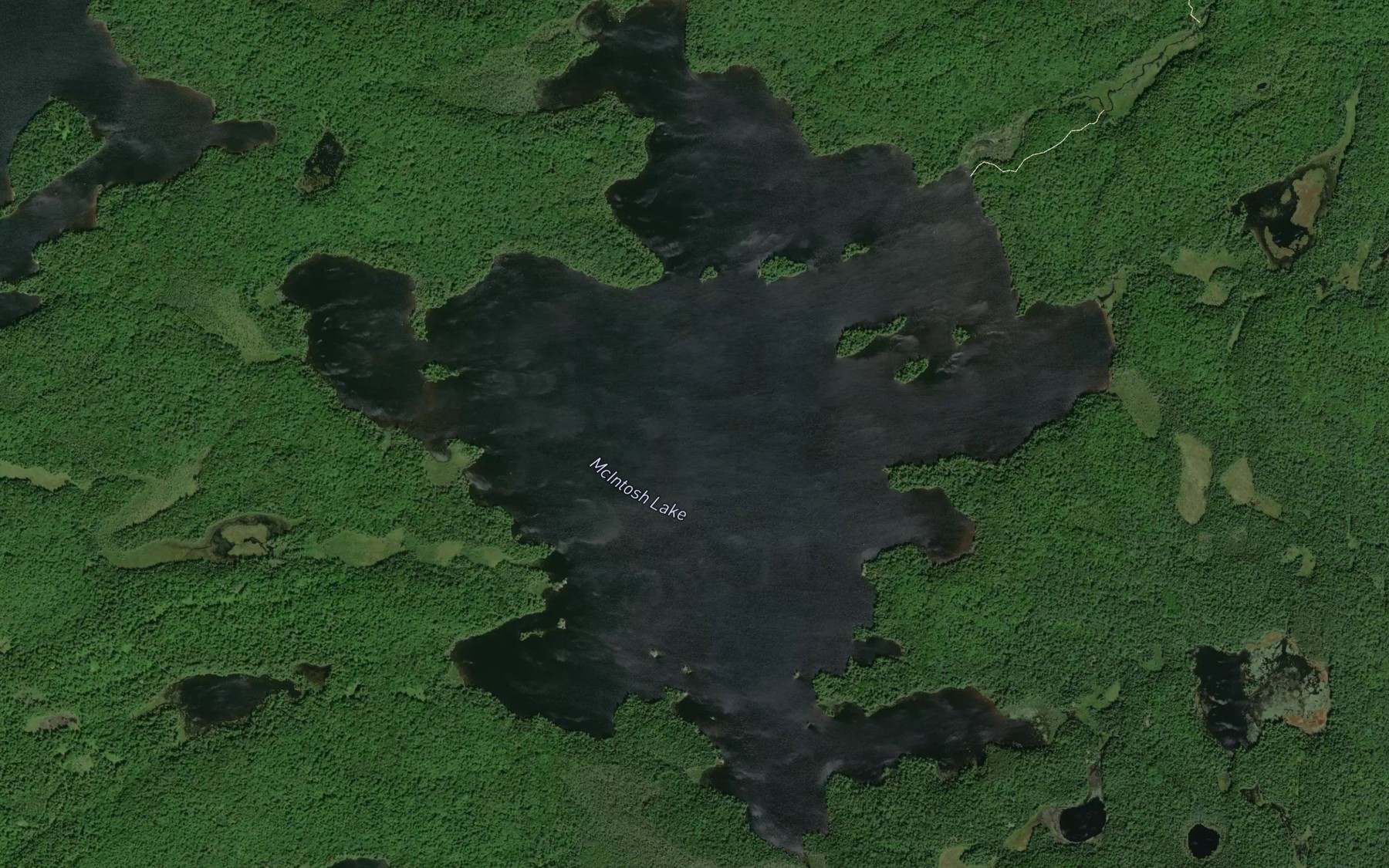 Satellite map of the McIntosh Lake