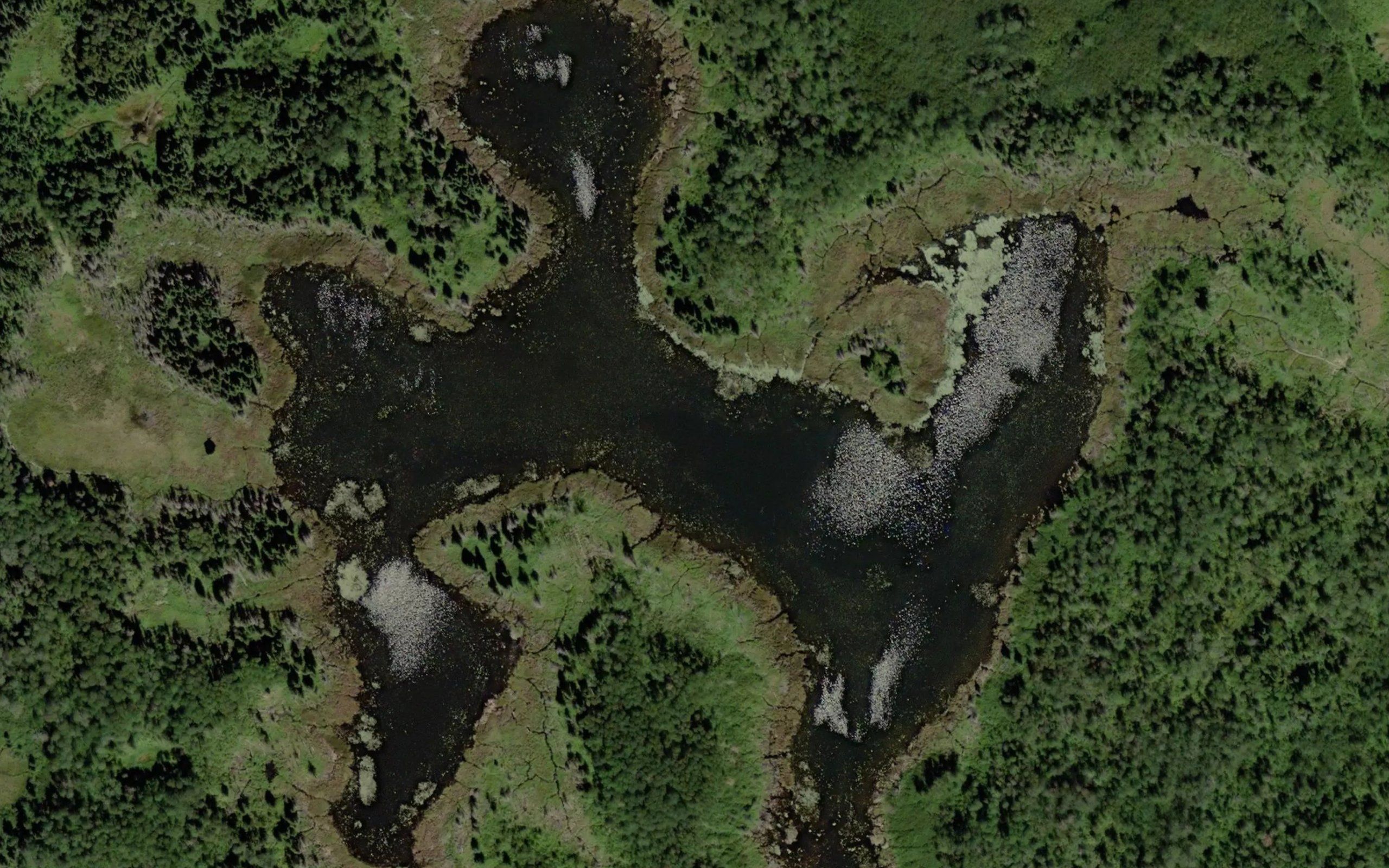 Spring Lake