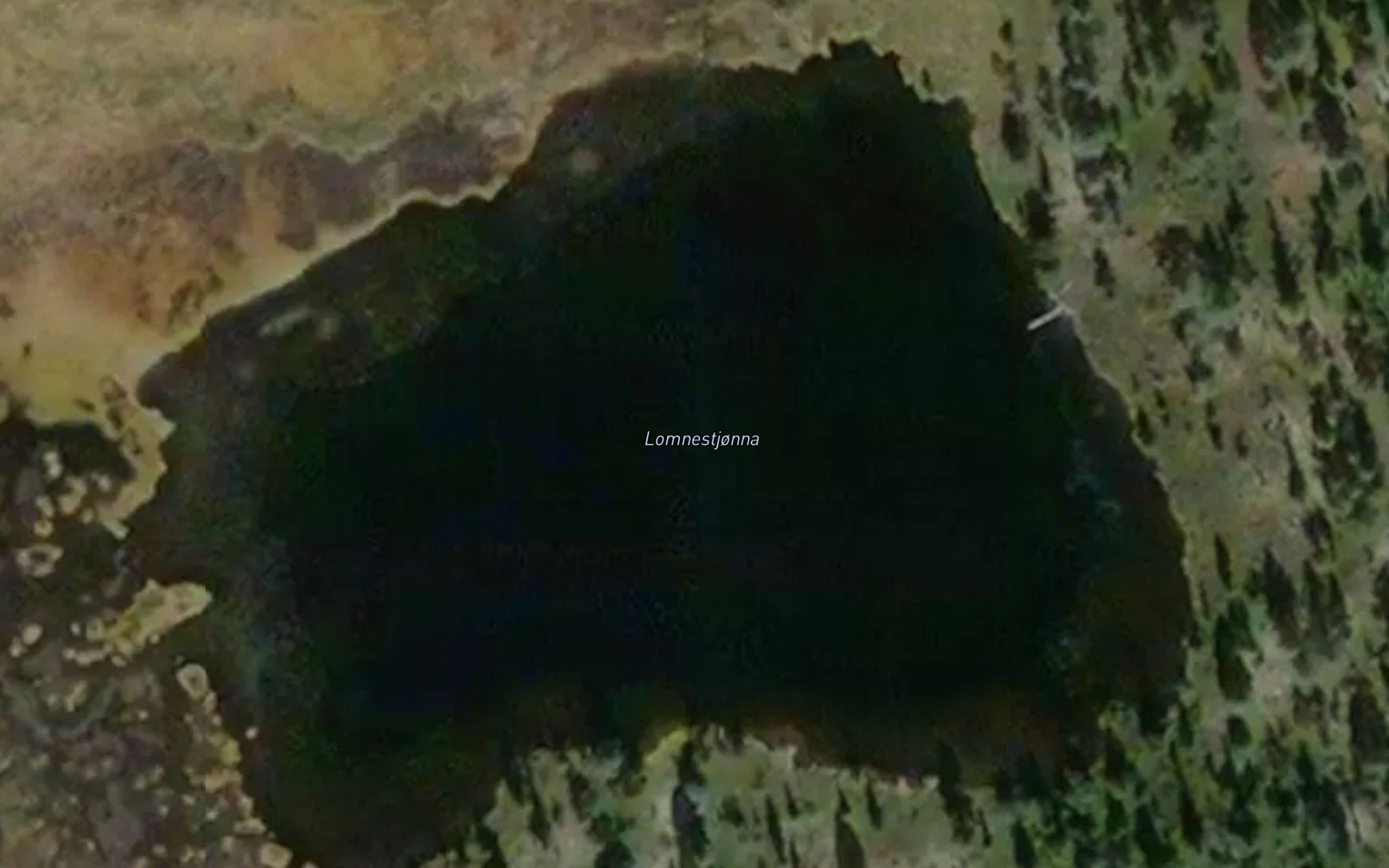 Lomnestjorna