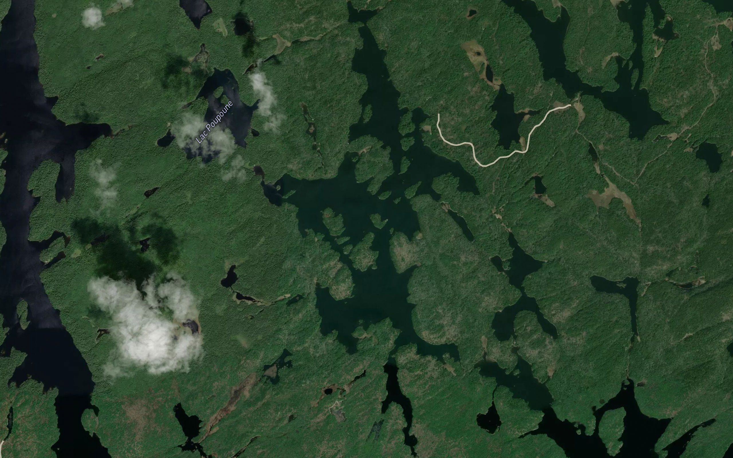 Lac Bat