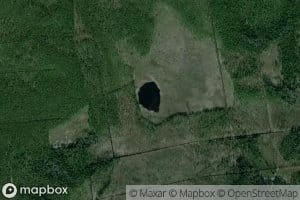 Ozero Korichnevoye